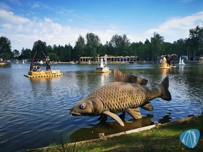Foto aus Zatorland von Kurenai