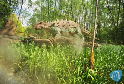 Foto aus Zatorland von Kurenai
