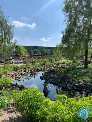 Foto aus Toverland von Sabi