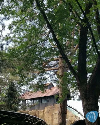 Foto aus Europa-Park von Rolala