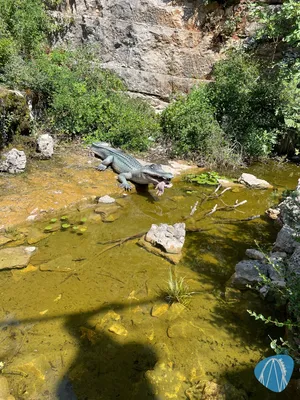 Foto aus Dinopark Funtana von Shaolinchen