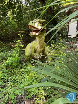 Foto aus Dinopark Funtana von Shaolinchen