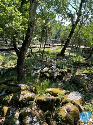 Foto aus Dinopark Funtana von Shaolinchen