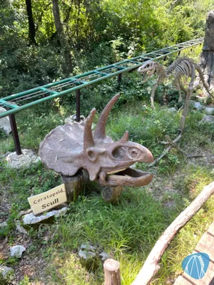 Foto aus Dinopark Funtana von Shaolinchen
