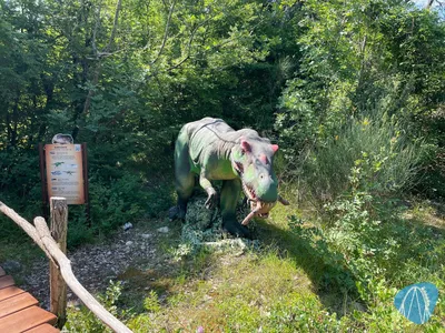 Foto aus Dinopark Funtana von Shaolinchen