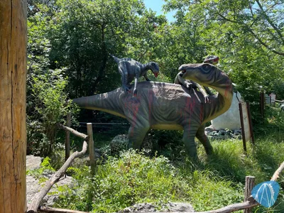 Foto aus Dinopark Funtana von Shaolinchen