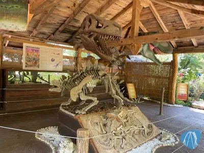 Foto aus Dinopark Funtana von Shaolinchen