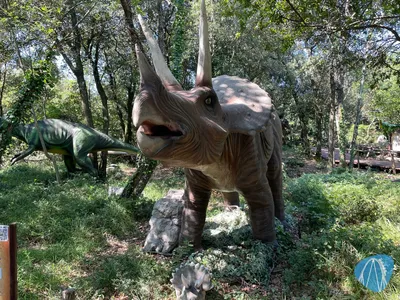 Foto aus Dinopark Funtana von Shaolinchen