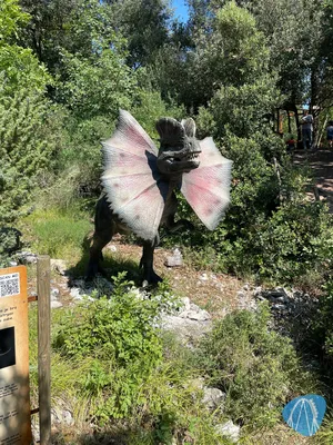 Foto aus Dinopark Funtana von Shaolinchen