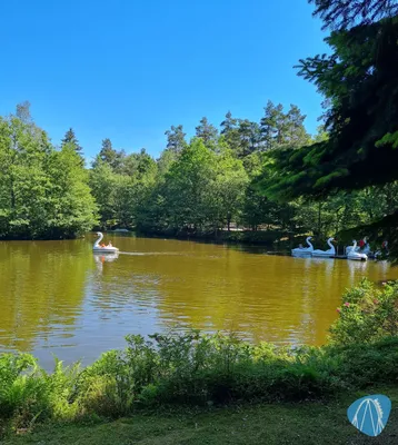 Foto aus Kurpfalz-Park von Kevin