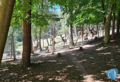 Foto aus Kurpfalz-Park von Kevin