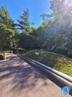 Foto aus Kurpfalz-Park von Kevin