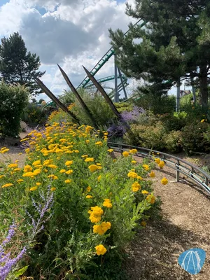 Foto aus Toverland von Sabi