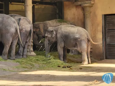 Foto aus Tierpark Hagenbeck von Ostseegirl