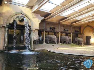 Foto aus Tierpark Hagenbeck von Ostseegirl