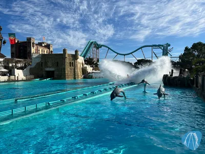 Foto aus Europa-Park von PaulsCoasterworld