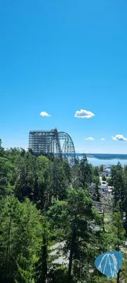 Foto aus Kolmården Djurpark von Oblivion26