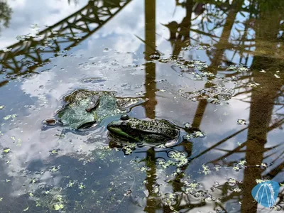 Foto aus Toverland von Sabi