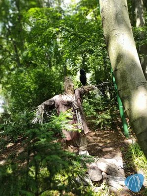 Foto aus HANSA-PARK von Erliki