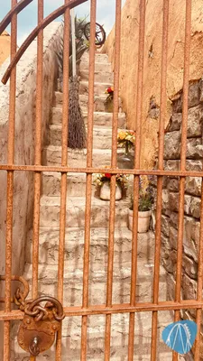 Foto aus Toverland von Sassa