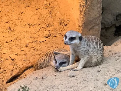 Foto aus Tierpark und Fossilium Bochum von Stefan
