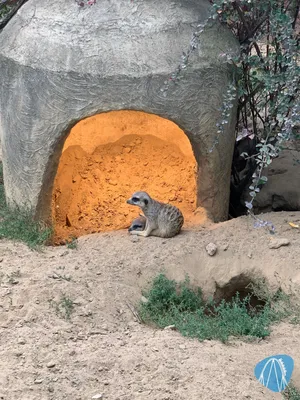 Foto aus Tierpark und Fossilium Bochum von Annika