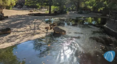 Foto aus Zoo Krefeld von benny82