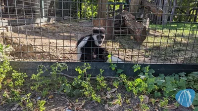 Foto aus Zoo Krefeld von benny82