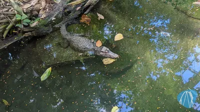 Foto aus Zoo Krefeld von benny82