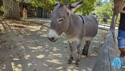 Foto aus Zoo Krefeld von benny82
