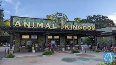 Photo from Disney's Animal Kingdom by Soeren92