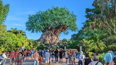 Photo from Disney's Animal Kingdom by Soeren92