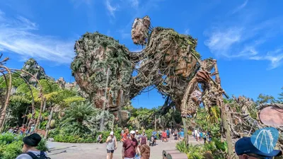 Photo from Disney's Animal Kingdom by Soeren92