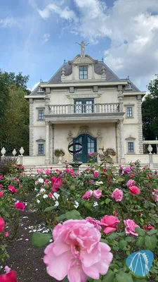 Foto aus Efteling von Sassa