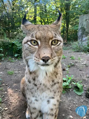 Foto aus Zoo Duisburg von Stefan