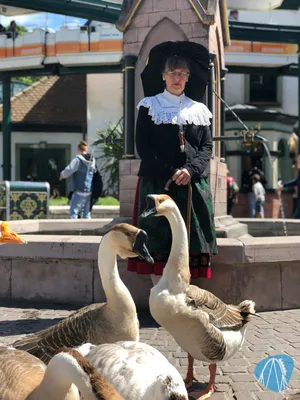 Foto aus Europa-Park von Diddy
