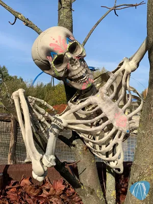 Foto aus Toverland von Sabi