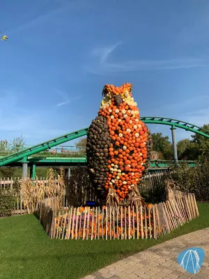 Foto aus Toverland von Sabi