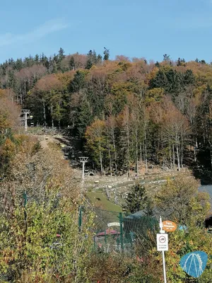 Foto aus Steinwasen Park von Rolala
