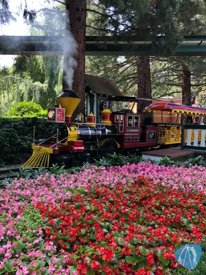 Foto aus Europa-Park von Diddy