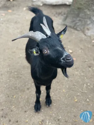 Foto aus Tierpark Hamm von Annika
