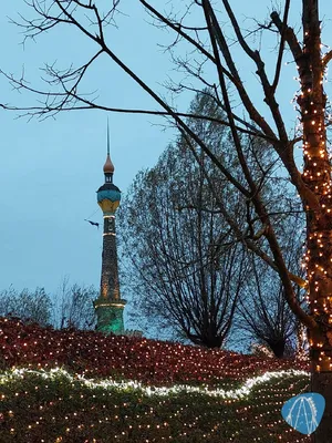 Foto aus Toverland von tazz