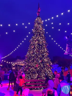 Foto aus Toverland von GRC_Niclas