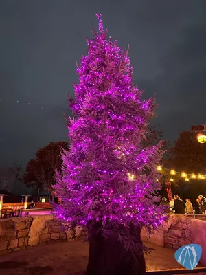 Foto aus Toverland von GRC_Niclas