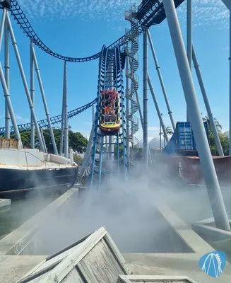 Foto aus Sea World von Poseidonsurfer