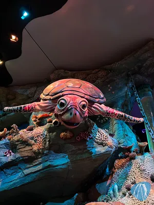 Foto aus Efteling von Marco
