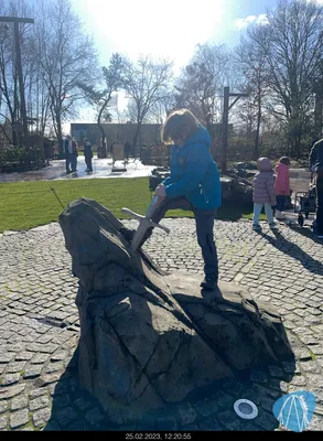 Foto aus Toverland von MaKaBa