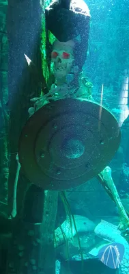Foto aus SEA LIFE Speyer von ViernheimerBub