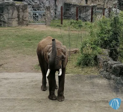Foto aus Opel-Zoo von Rolala