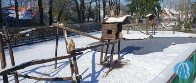 Foto aus Tier- und Freizeitpark Thüle von ViernheimerBub